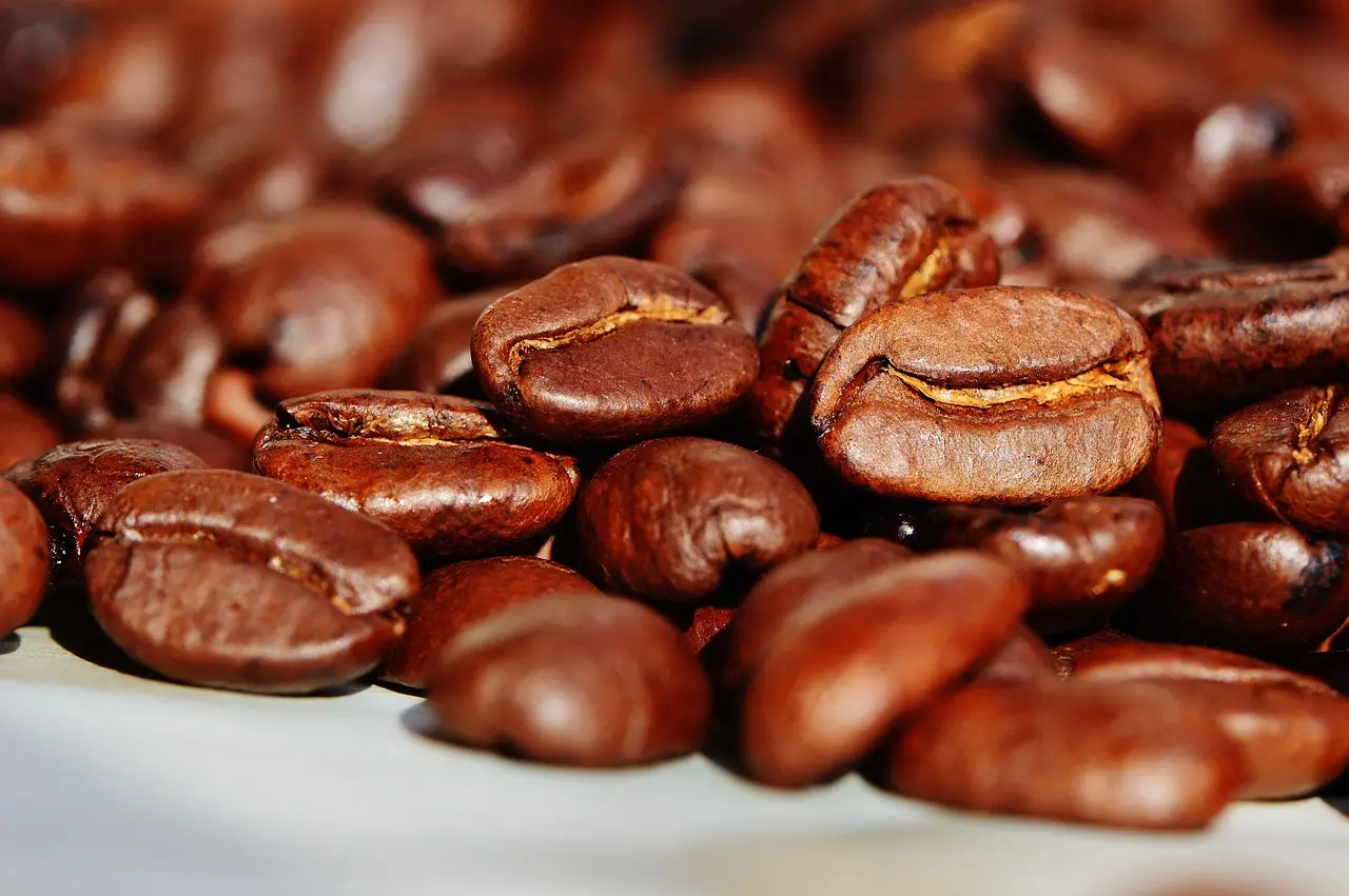 Nestlé USA Report Identifies Five Food and Beverage Trends for 2027 - Foodmarket