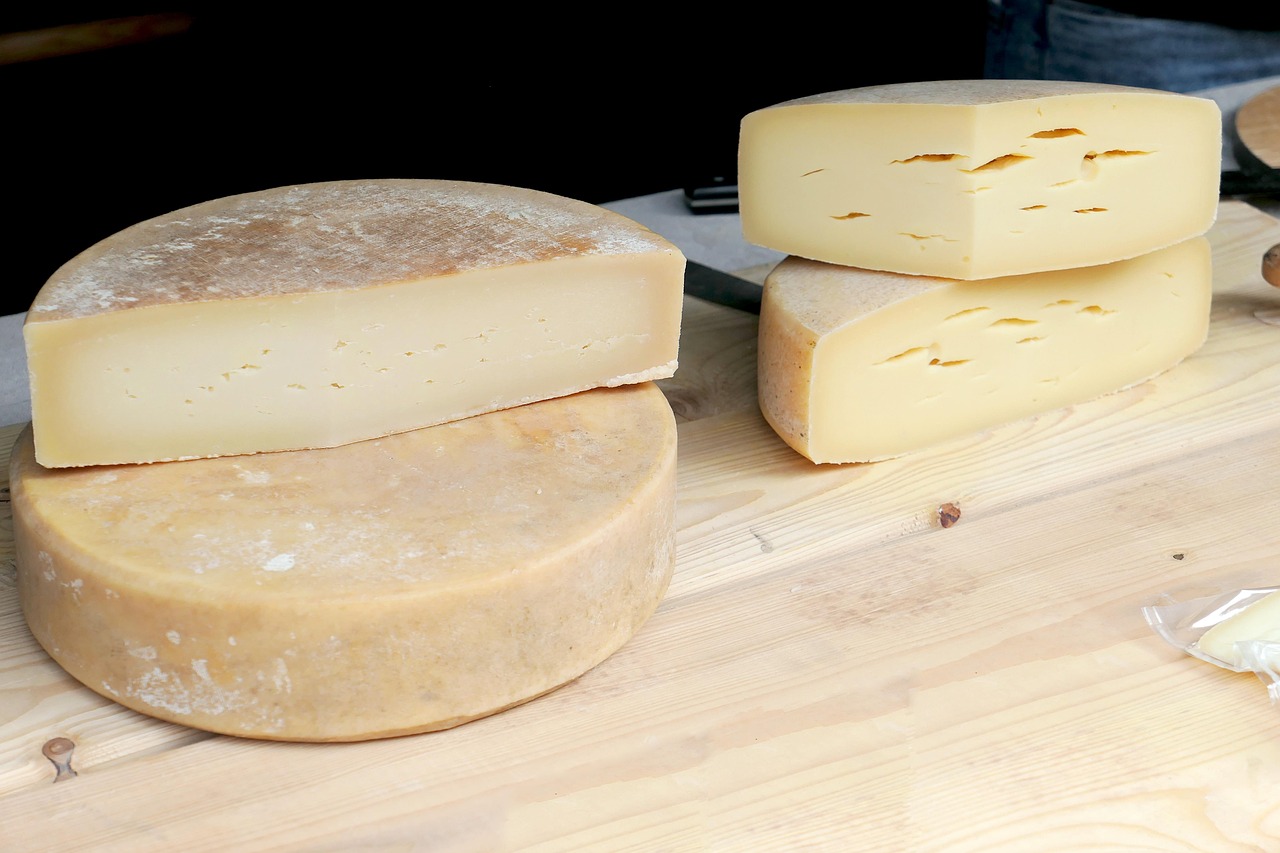 FDA finds cockroaches on cheese equipment, flies on ready-to-eat products at Florida plant