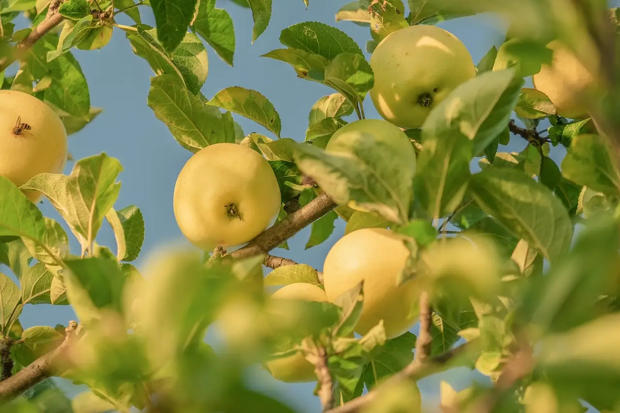 The Good Apple Effect Launches to Tackle Bullying and Misuse of Power in Hospitality - Hospitality & Catering News