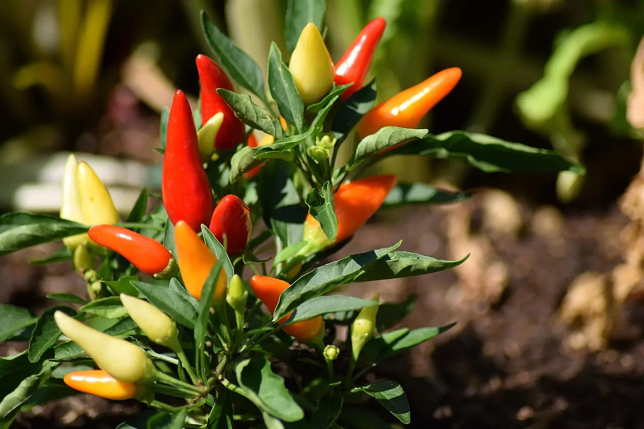 How Chili’s Took Control of the Cultural Conversation Again