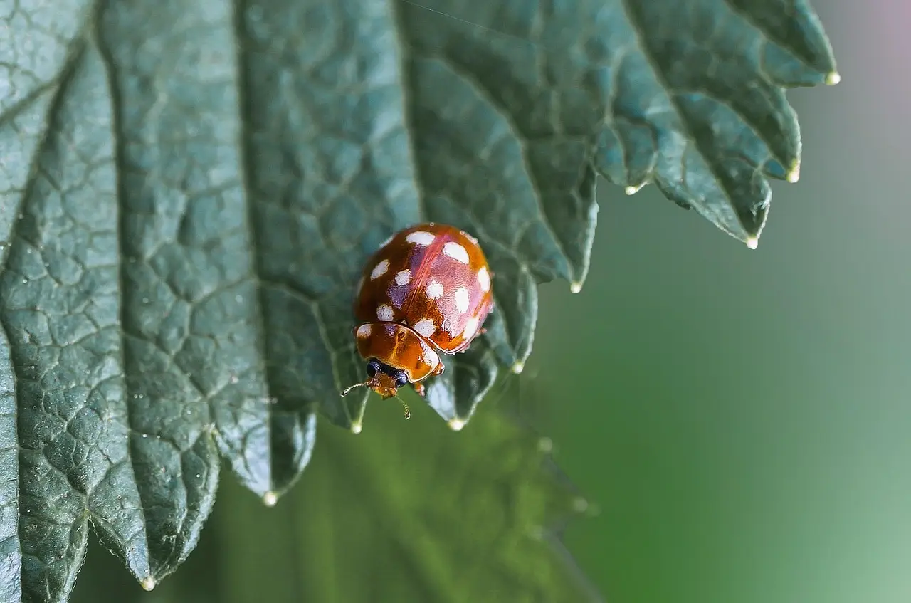 Indonesia hospitality sector makes business case for investing in nature - TTG Asia