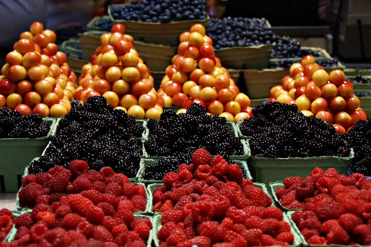 The Top 5 Global Consumer Trends for Food and Beverage 2026 - Innova Market Insights