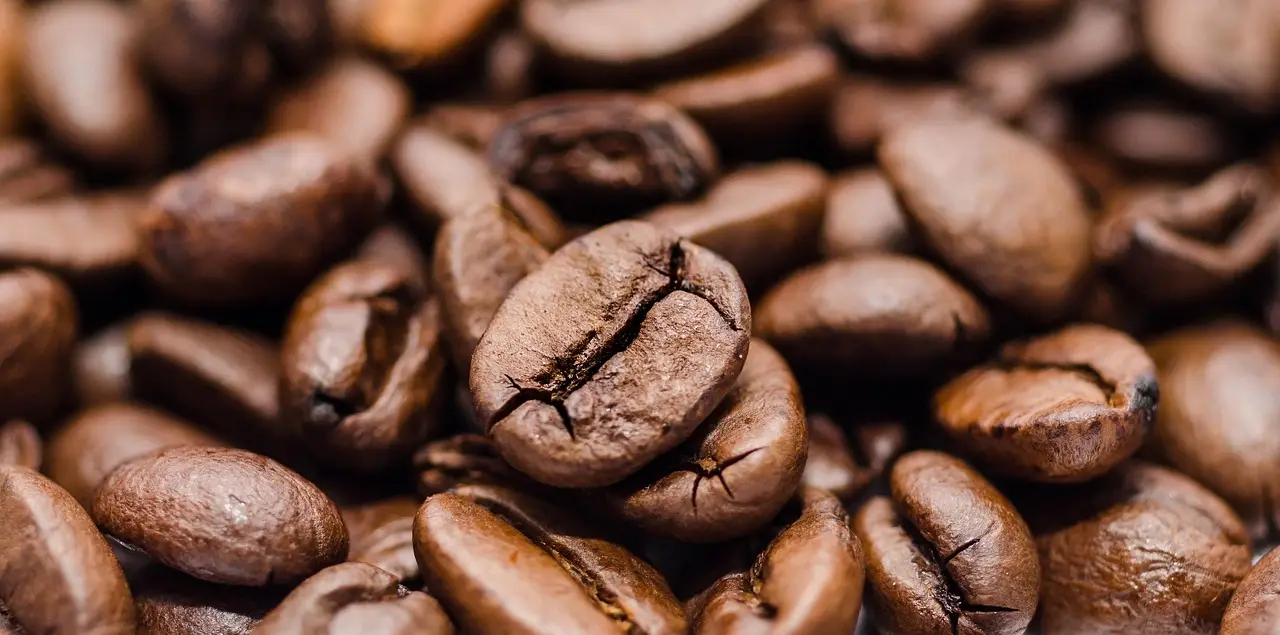 6 food and beverage trends to watch in 2025 - Food Dive