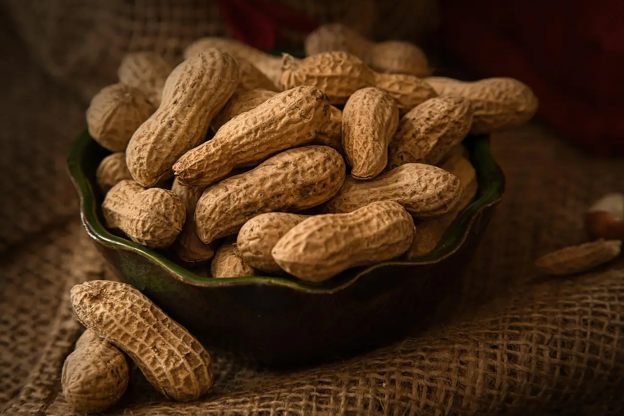 Q3 2026 Food Industry M&A Roundup: Protein, Snacks, and Grocery Changed Hands - Food Industry Executive