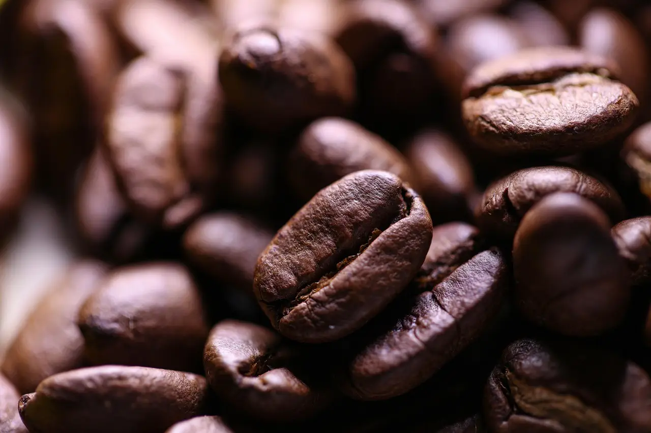 The Big Shift: Five trends transforming food and beverage - FoodNavigator.com