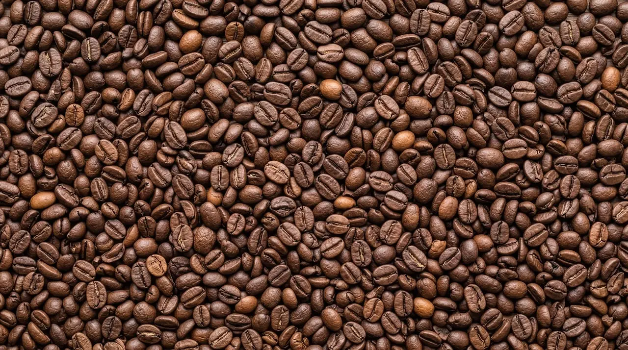 Tastepoint by IFF reveals ten flavour trends set to shape food and beverage innovation in 2026 - nutraceuticalbusinessre