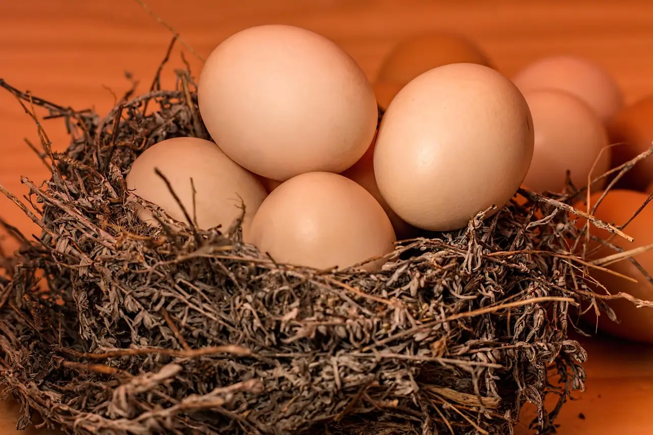U.S. among countries to back regional food safety strategy