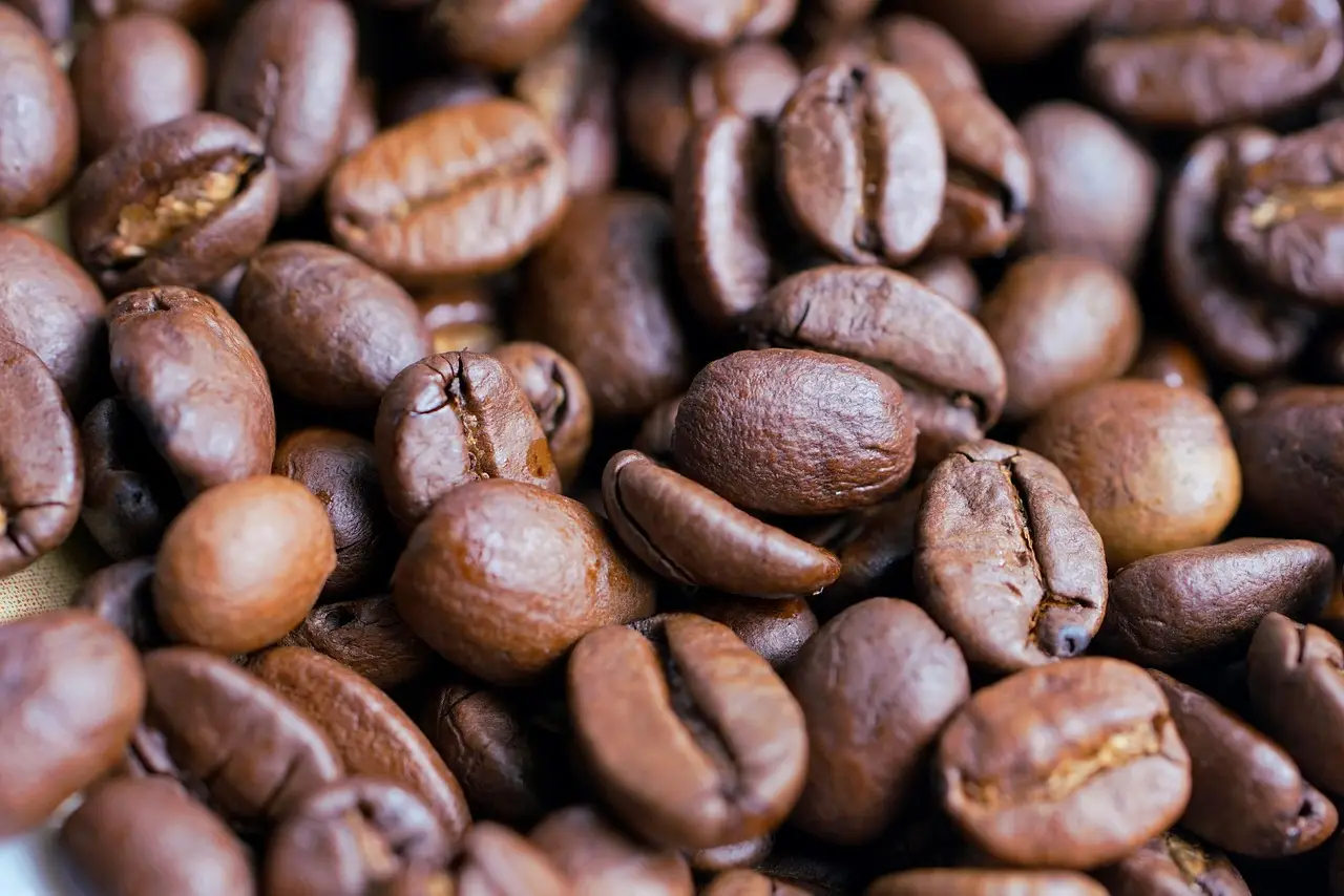 Top 10 food and beverage trends set to shape 2027 - FoodNavigator.com