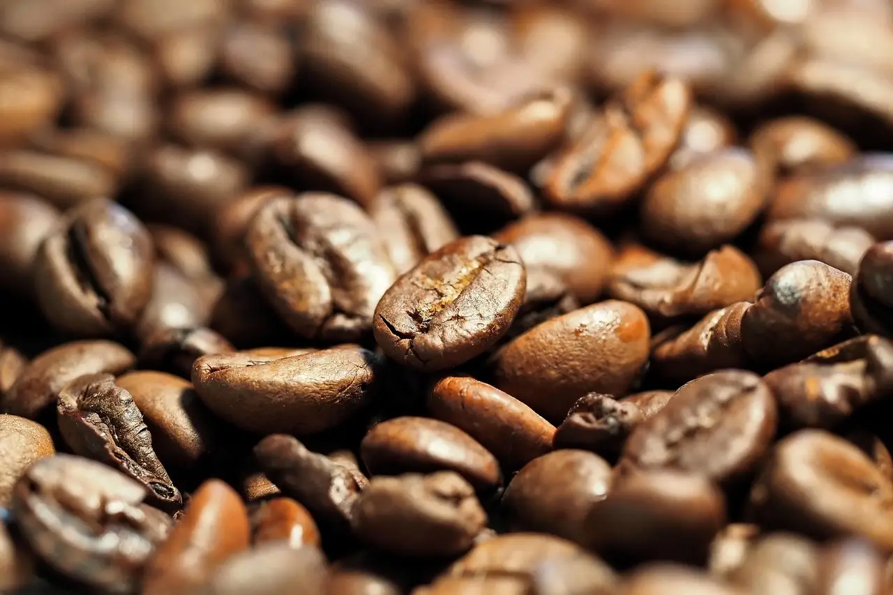 5 Food and Drink Mega‑Trends for 2026/27 - Mintel